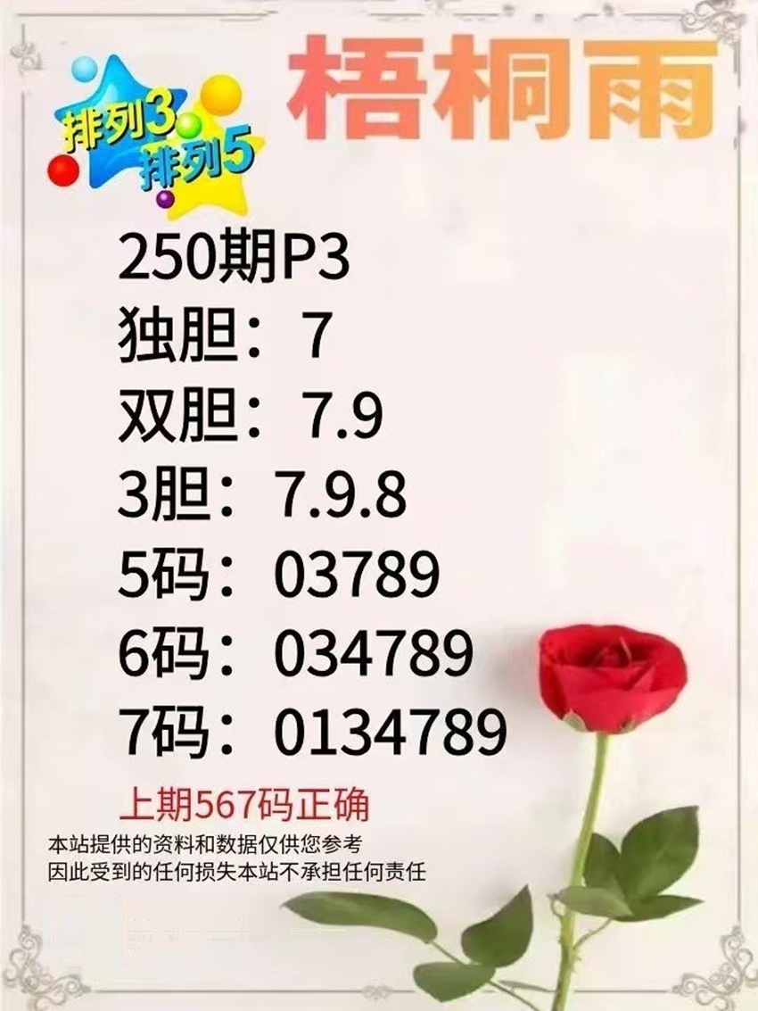 2026250期梧桐雨排列三推荐